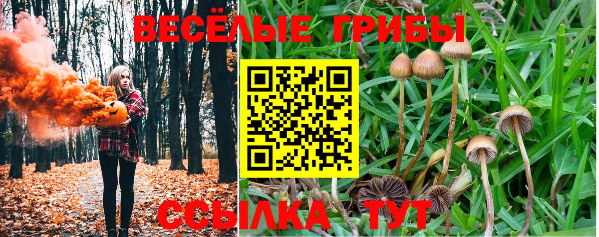 Галлюциногенные грибы прущие грибы Шелехов