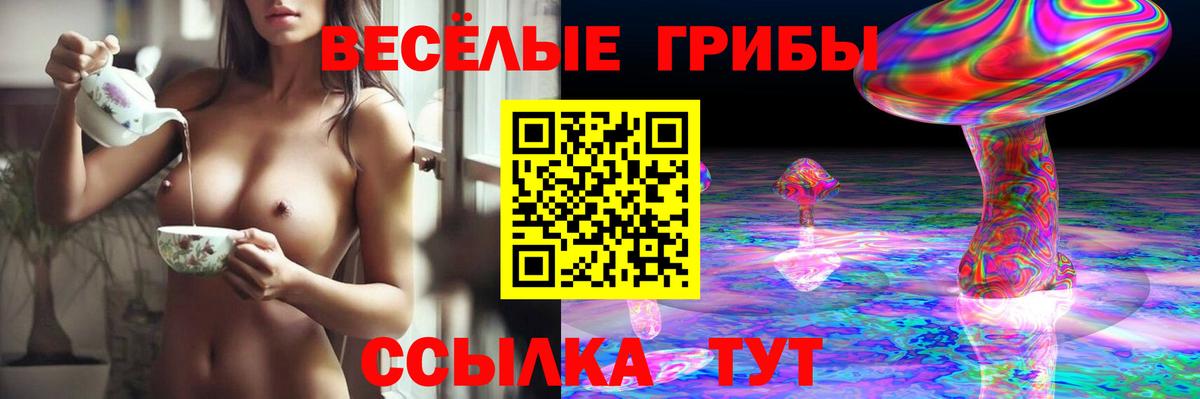 Шелехов  Псилоцибиновые грибы Cubensis  что такое   Вход с VPN 